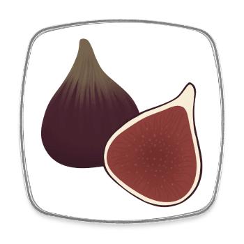 Fig Slice Botanischer Druck - Viereckiger Kühlschrankmagnet - Weiß - Vorne