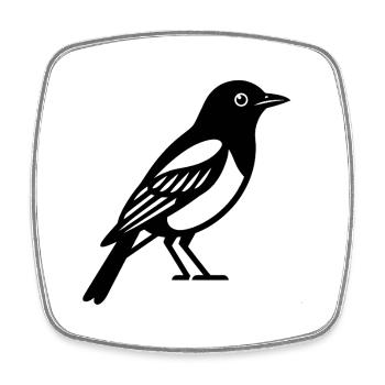 bird - Square fridge magnet - white - Front
