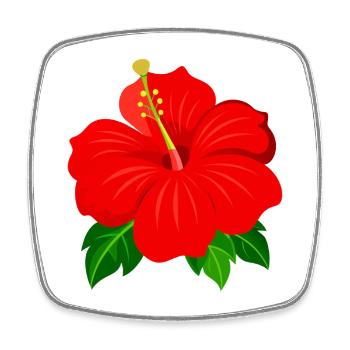 Hibiscus flower - Square fridge magnet - white - Front