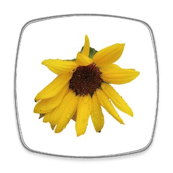 Moody_Wild_Sunflower_Botanical_Print - Square fridge magnet - white - Front