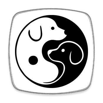 Yin Yang: Dogs - Square fridge magnet - white - Front