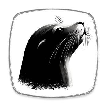 Sea lion - Square fridge magnet - white - Front