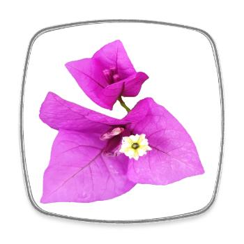 Vibrant_Magenta_Bougainvillea_Flower - Viereckiger Kühlschrankmagnet - Weiß - Vorne