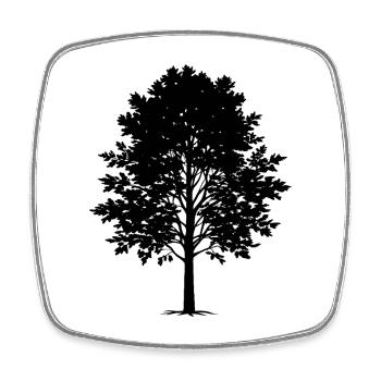 Aspen tree - Square fridge magnet - white - Front