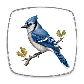 Blue Jay (Cyanocitta cristata) - Square fridge magnet - white - Front