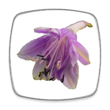 Macro_Purple_Hosta_Bloom - Square fridge magnet - white - Front