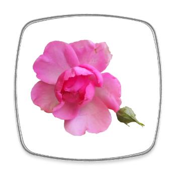 Vibrant_Pink_Rose_Bloom - Viereckiger Kühlschrankmagnet - Weiß - Vorne