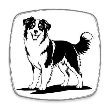 Australian Shepherd black - Square fridge magnet - white - Front