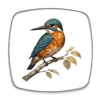 European kingfisher (Alcedo atthis) - Square fridge magnet - white - Front