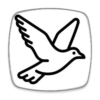 Seagull - Square fridge magnet - white - Front