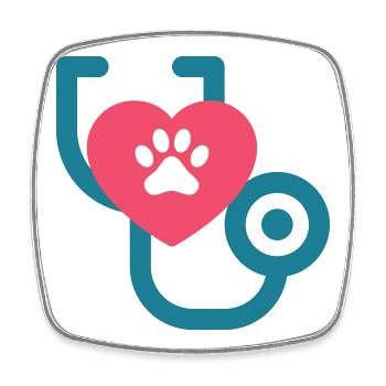 Tierarzt - Tierarzt Tierliebe Hund Katze - Viereckiger Kühlschrankmagnet - Weiß - Vorne