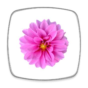 Vibrant_Pink_Dahlia_Flower_Wall_Art_Print - Square fridge magnet - white - Front