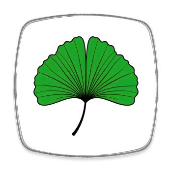 Silhouette de feuille de ginkgo vert émeraude - Magnet carré - blanc - Devant