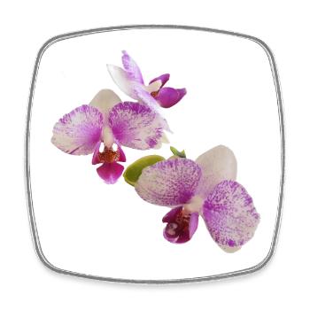 Live_Purple_Speckled_Harlequin_Orchid_Plant - Magnet carré - blanc - Devant