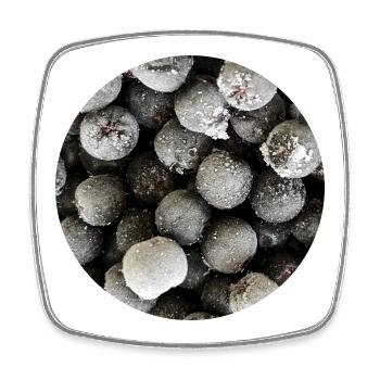 Frozen Chokeberry Circle Graphic - Square fridge magnet - white - Front