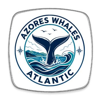 Insigne circulaire de la fléche de la baleine des Açores Emblème de voyage - Magnet carré - blanc - Devant