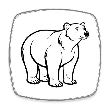 Ours polaire - Magnet carré - blanc - Devant
