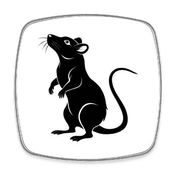 Rat debout - Magnet carré - blanc - Devant