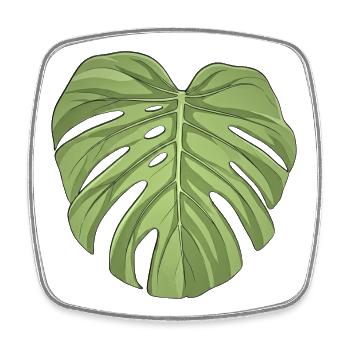 Monstera Leaf Unisex T-Shirt  - Viereckiger Kühlschrankmagnet - Weiß - Vorne