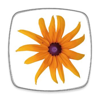 Black_Eyed_Susan_Cut_Out_Asset_Cottagecore_Deco - Viereckiger Kühlschrankmagnet - Weiß - Vorne