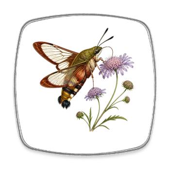 Hummingbird Sphinx (Hemaris fuciformis) - Square fridge magnet - white - Front