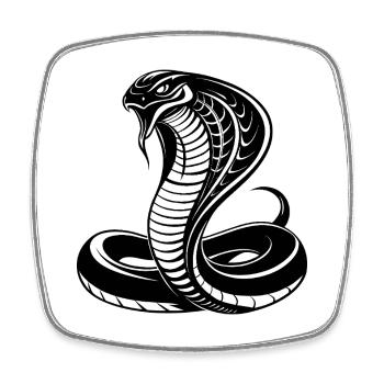 Serpent cobra - Magnet carré - blanc - Devant