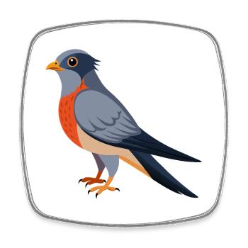 Coucou Oiseau - Magnet carré - blanc - Devant