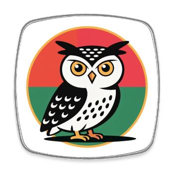 Hibou Pop Art - Magnet carré - blanc - Devant