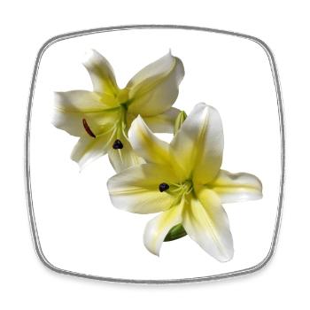 Elegant_Yellow_-_White_Lily_Flower - Magnet carré - blanc - Devant