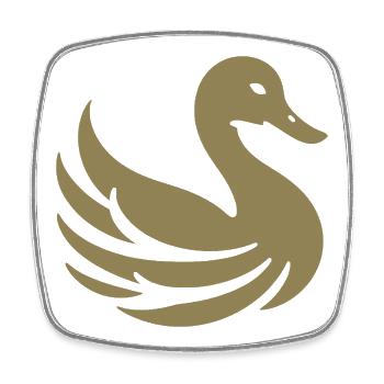 Silhouette des cygnes dorés - Magnet carré - blanc - Devant