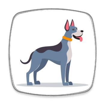 Dogue allemand gris-bleu (bande dessinée) - Magnet carré - blanc - Devant