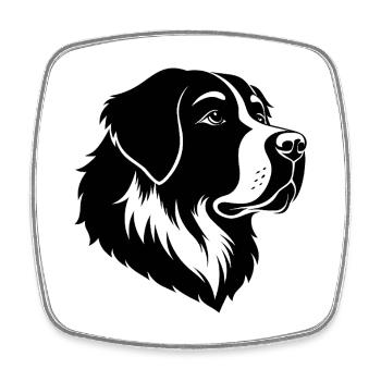 Saint-Bernard - Magnet carré - blanc - Devant