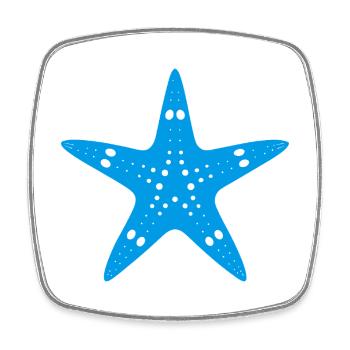Starfish - Square fridge magnet - white - Front