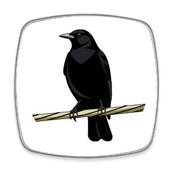 Observation urbaine des oiseaux : conception minimale de la nature - Magnet carré - blanc - Devant