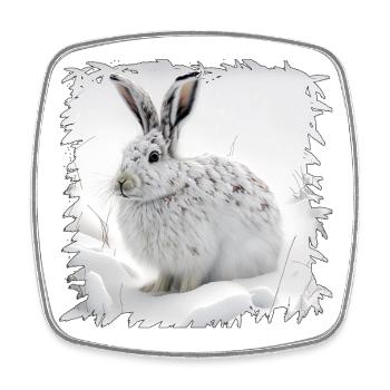 Winter bunny in the snow - Square fridge magnet - white - Front