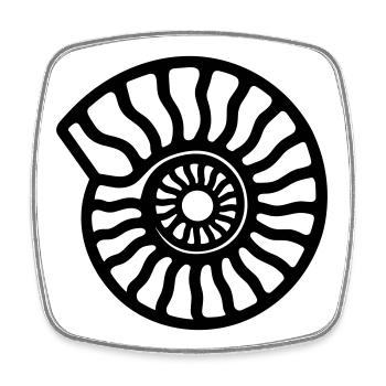 ammonite - Magnet carré - blanc - Devant