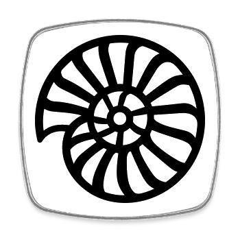 Ammonite - Square fridge magnet - white - Front