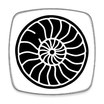 Ammonite - Square fridge magnet - white - Front