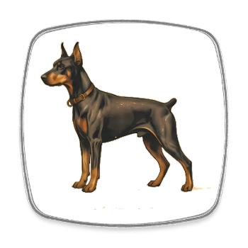 Dobermann Pinscher dans le style rétro - Magnet carré - blanc - Devant