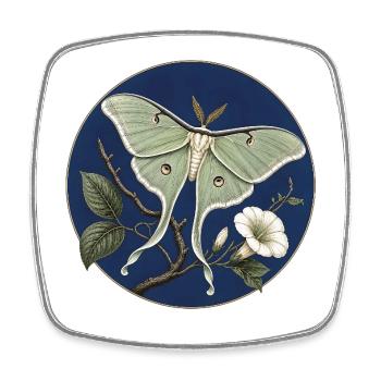 Actias luna (Luna Moth) – Illustration botanique - Magnet carré - blanc - Devant