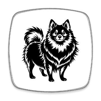 Pommerscher Hund - Viereckiger Kühlschrankmagnet - Weiß - Vorne