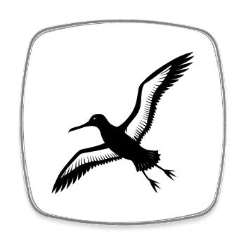 Royal albatross - Square fridge magnet - white - Front