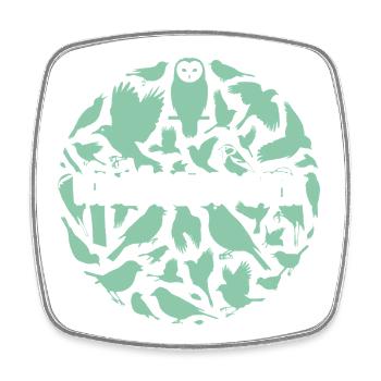 Vogelsilhouetten Vogelstimmen - Viereckiger Kühlschrankmagnet - Weiß - Vorne