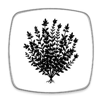 Thyme - Square fridge magnet - white - Front