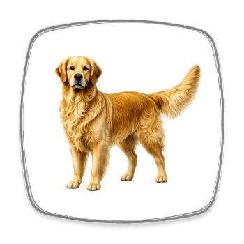 Goldener Retriever  - Viereckiger Kühlschrankmagnet - Weiß - Vorne