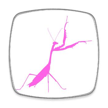 Gottesanbeterin pink - Viereckiger Kühlschrankmagnet - Weiß - Vorne