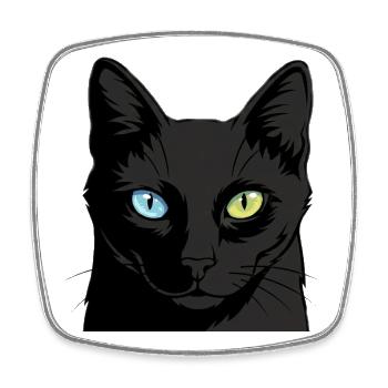 Zweifarbige Katze mit Heterochromie - Viereckiger Kühlschrankmagnet - Weiß - Vorne