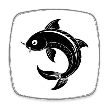 Koi-Fisch - Viereckiger Kühlschrankmagnet - Weiß - Vorne