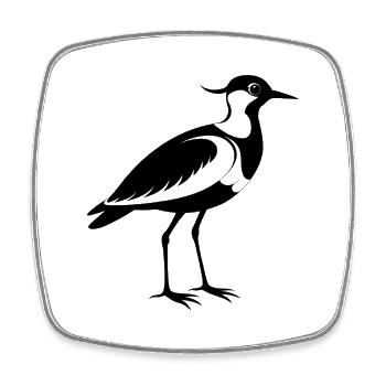 Kiebitvogel - Viereckiger Kühlschrankmagnet - Weiß - Vorne