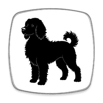 Labradoodle - Viereckiger Kühlschrankmagnet - Weiß - Vorne
